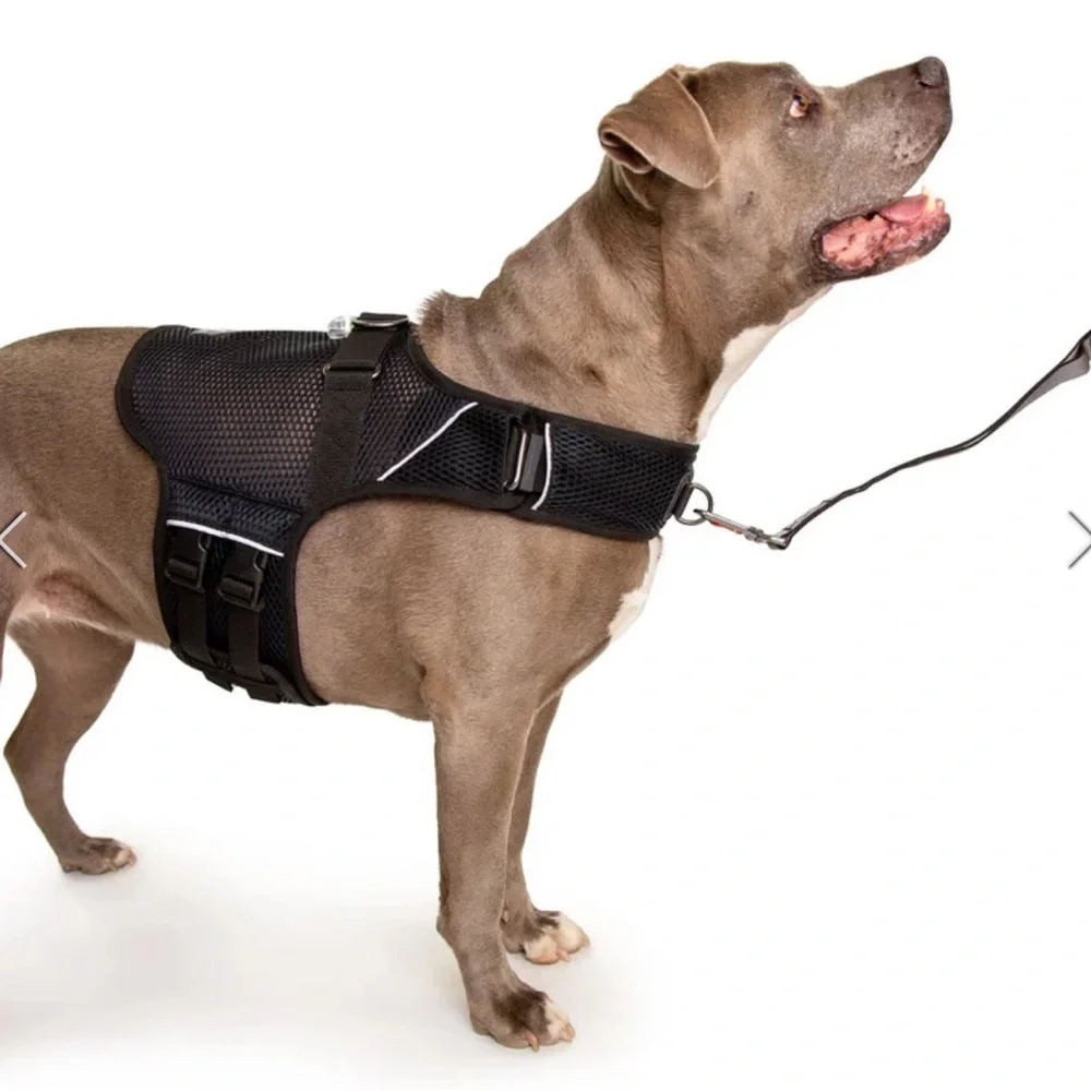 Teal Mesh Dog Harness - Comfort Fit